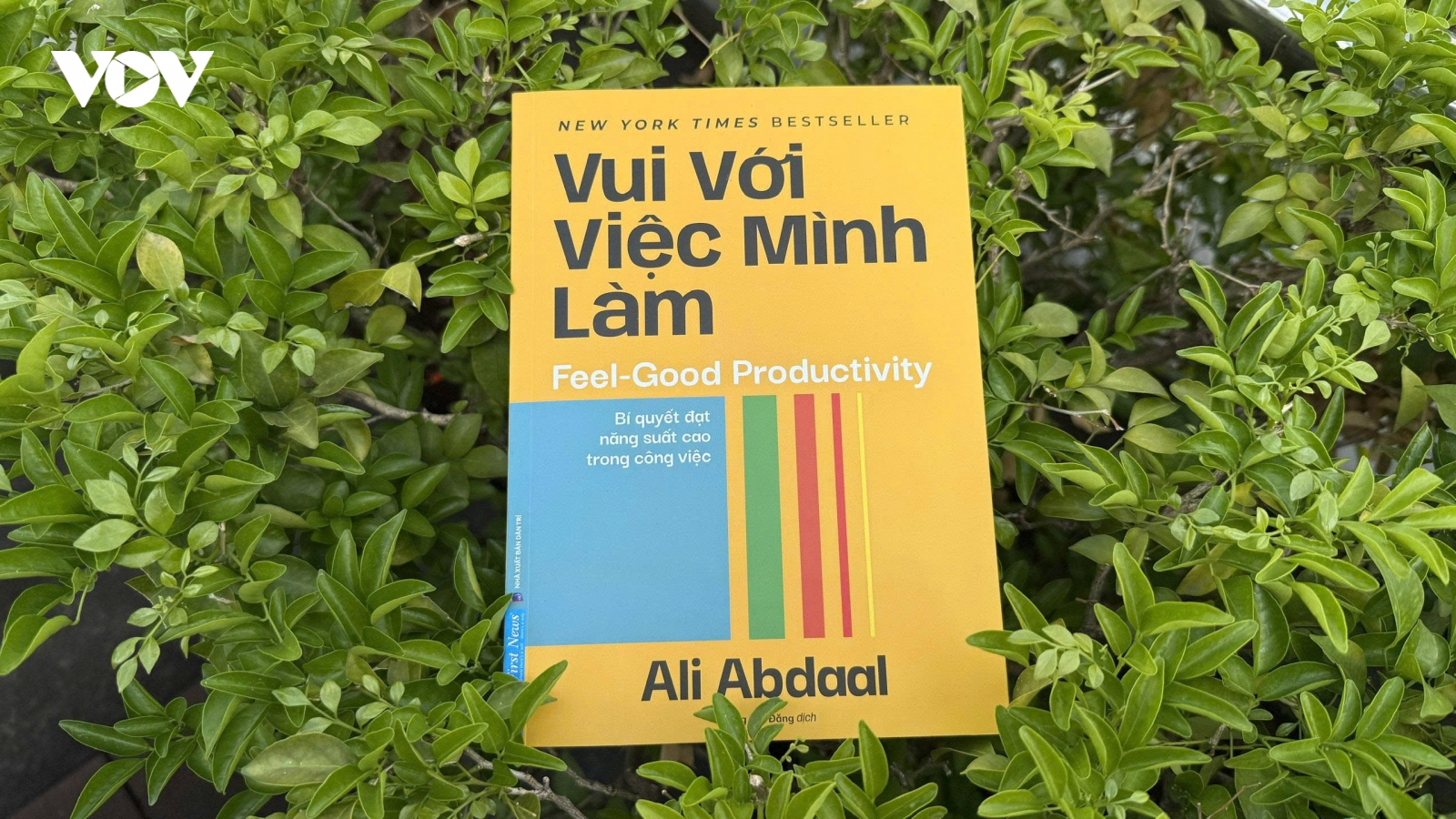 "Vui với việc mình làm" - Cách để vừa làm vừa chơi mà vẫn năng suất