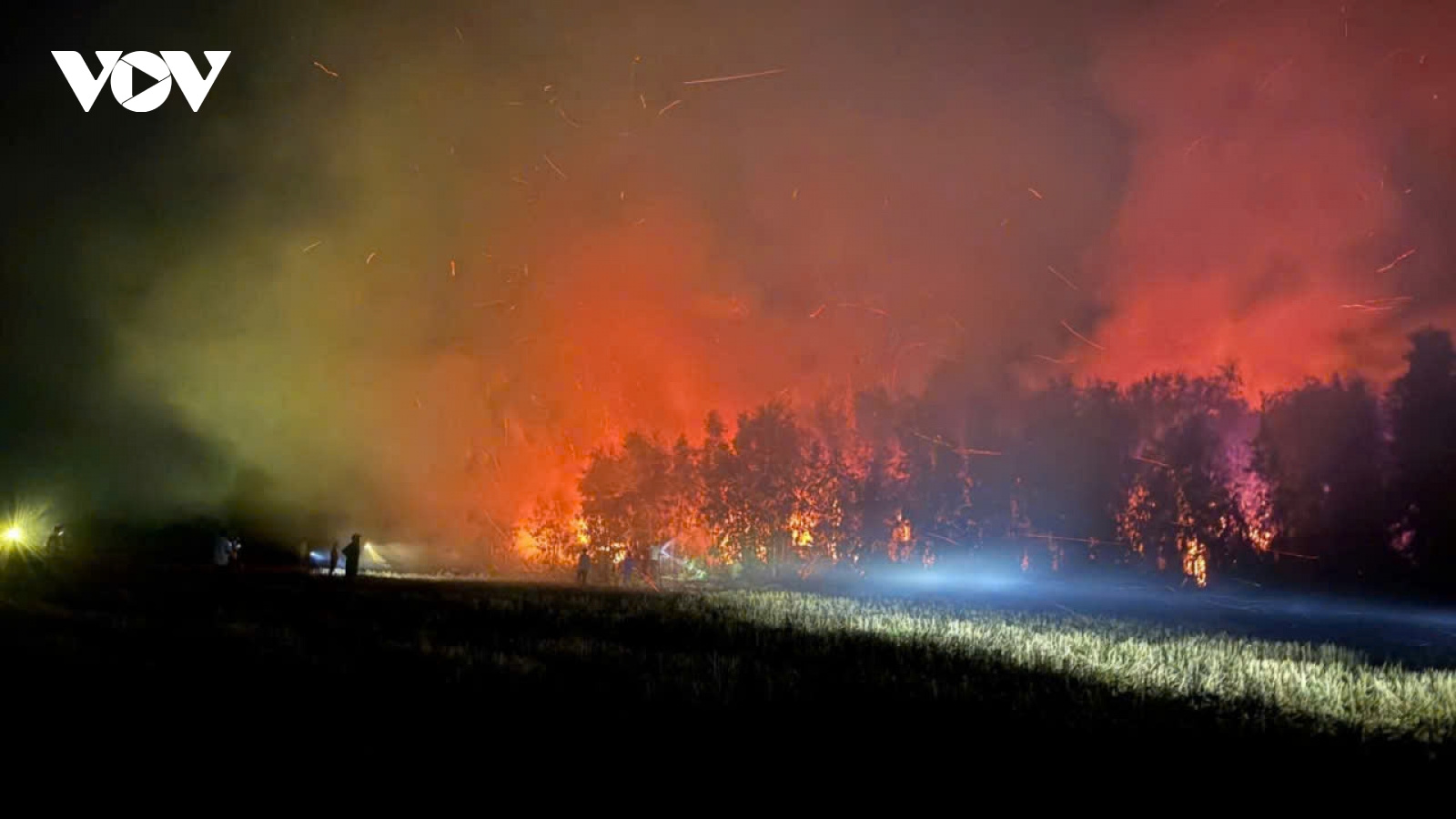 Cháy ở rừng tràm Bình Minh, Cô Tô, An Giang