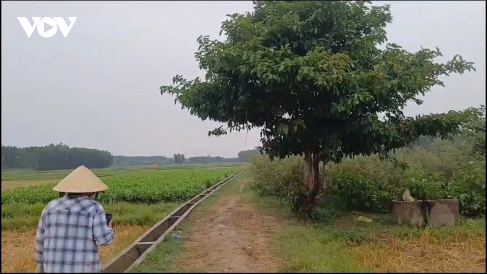 Người đàn ông ở Quảng Ngãi bị sét đánh tử vong khi trú mưa ngoài đồng