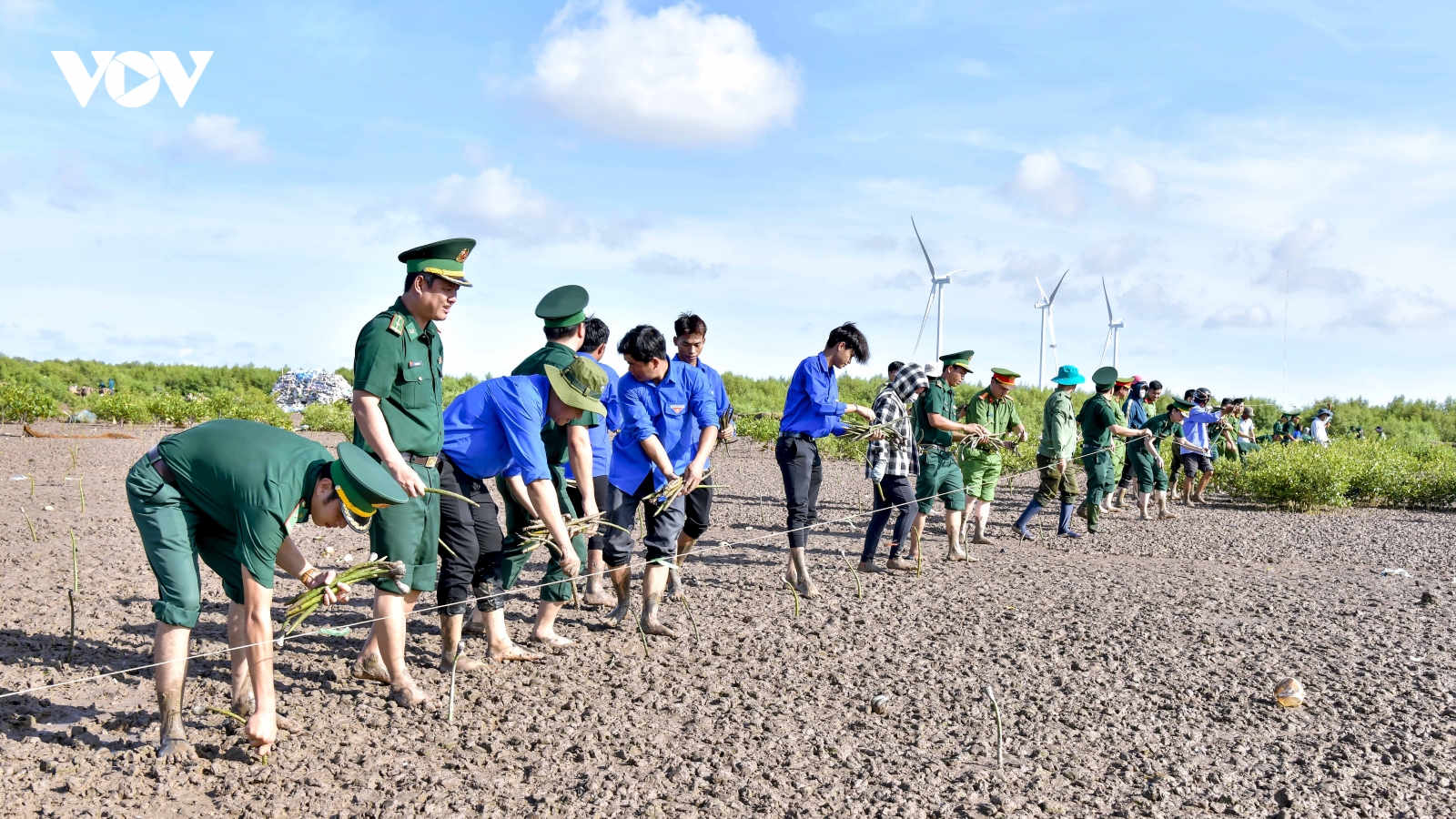 Cần Thơ trồng bổ sung 17ha rừng phòng hộ ven biển