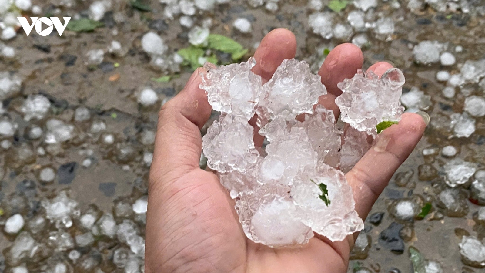 Mưa đá lớn gây thiệt hại tại một số xã vùng cao của Lào Cai