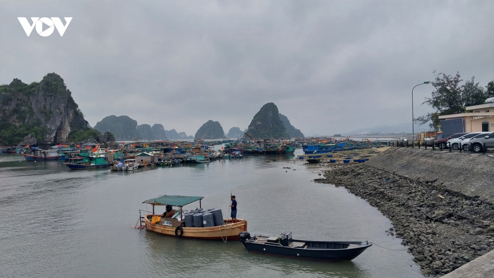 Quảng Ninh chống khai thác hải sản bất hợp pháp