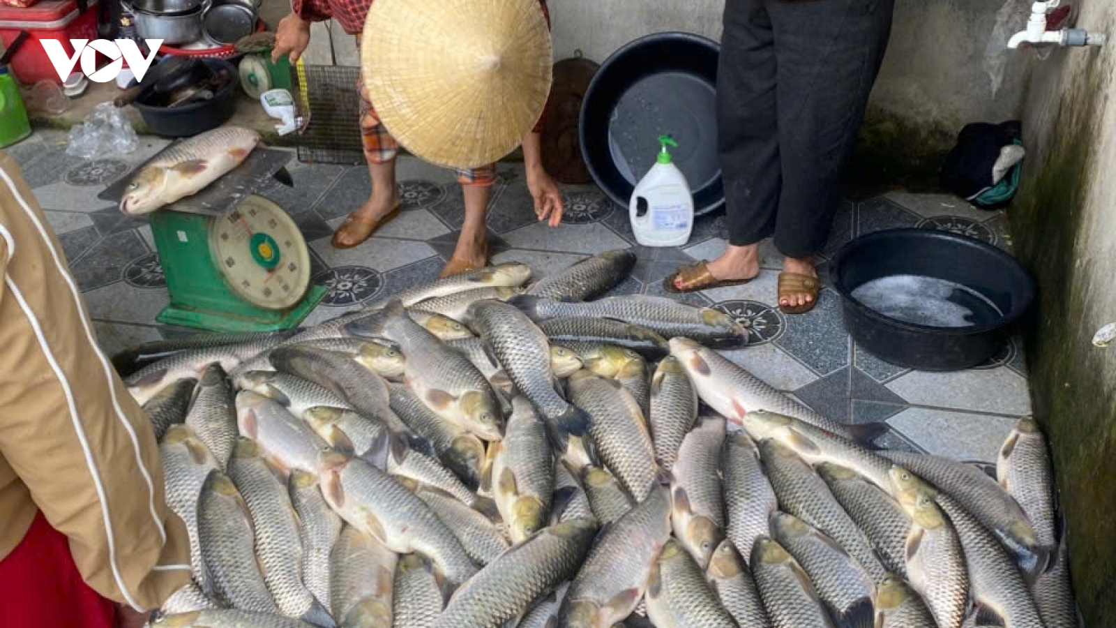 Nhiều nhà máy nước sạch ở Nghệ An tạm dừng lấy nước từ sông Lam do lo ngại ô nhiễm
