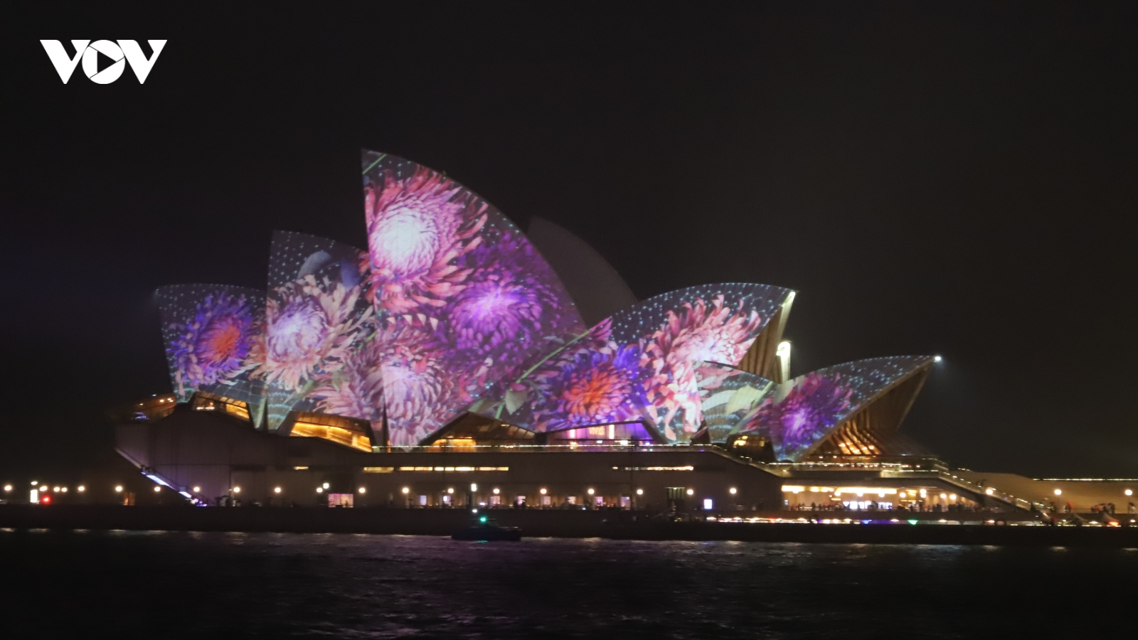 Khai mạc Lễ hội ánh sáng Vivid Sydney 2026