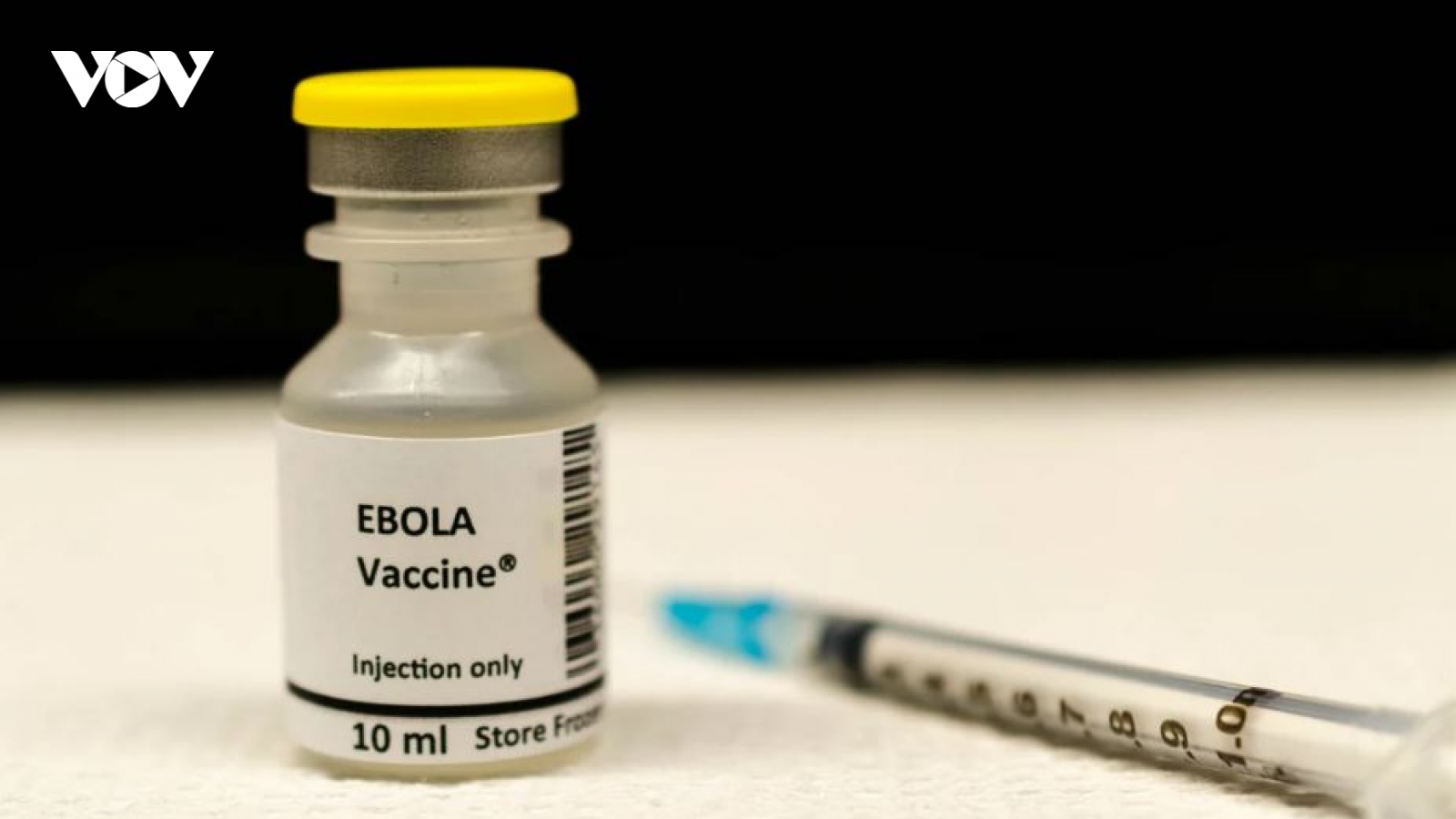 Vaccine Ebola có thể được đưa vào thử nghiệm trong vòng 3 tháng tới