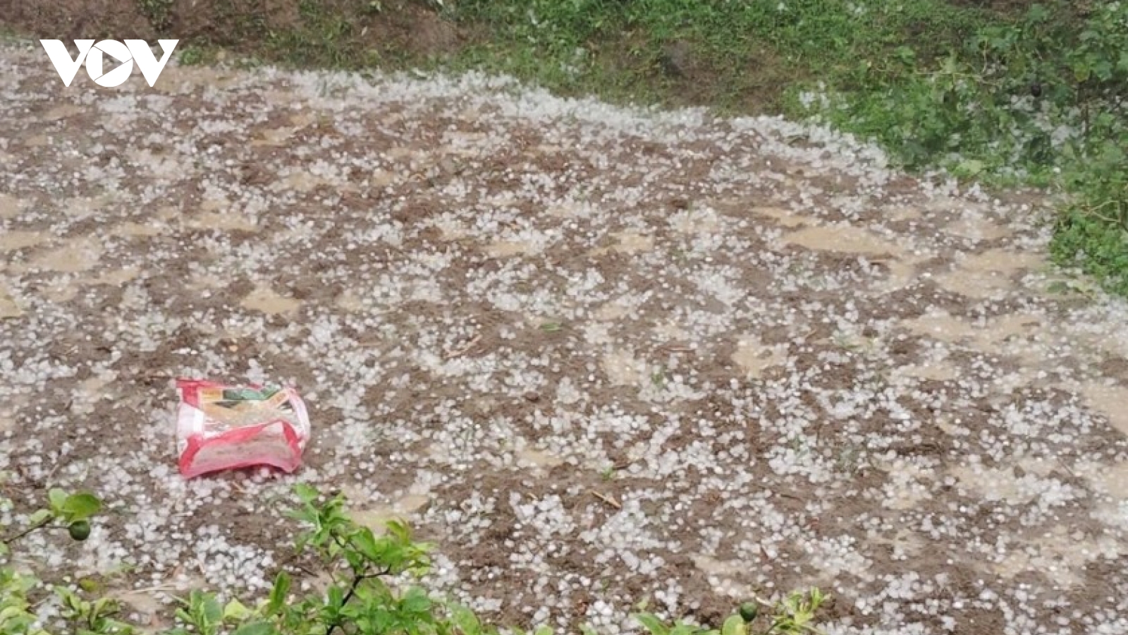 Hailstorms hit northern localities, causing localized damage