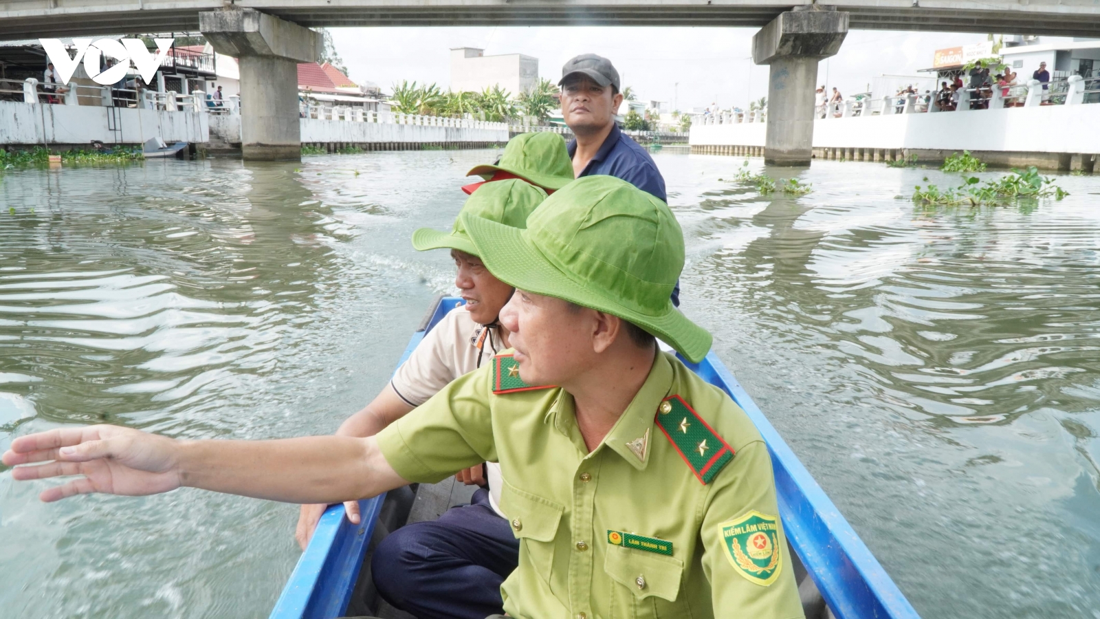 Thông tin 2 con cá sấu xuất hiện ở sông Tiểu Cần là không chính xác