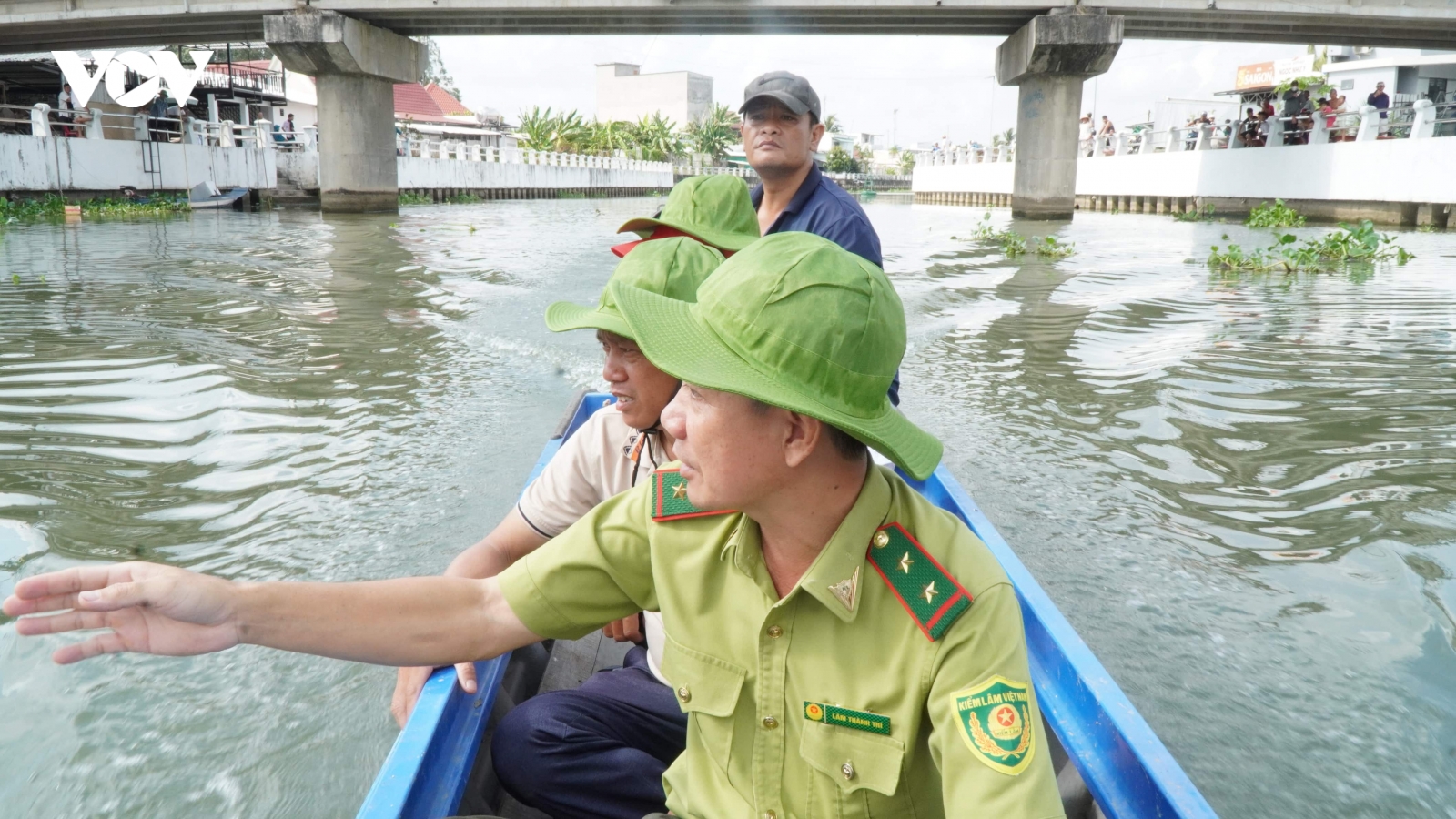 Thông tin 2 con cá sấu xuất hiện ở sông Tiểu Cần là không chính xác
