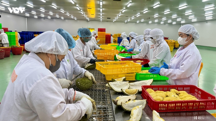 SPS changes become new test for Vietnam’s agricultural exports