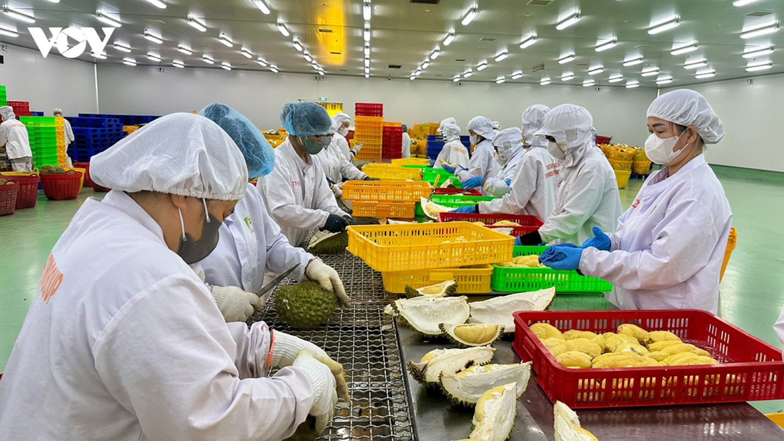 SPS changes become new test for Vietnam’s agricultural exports