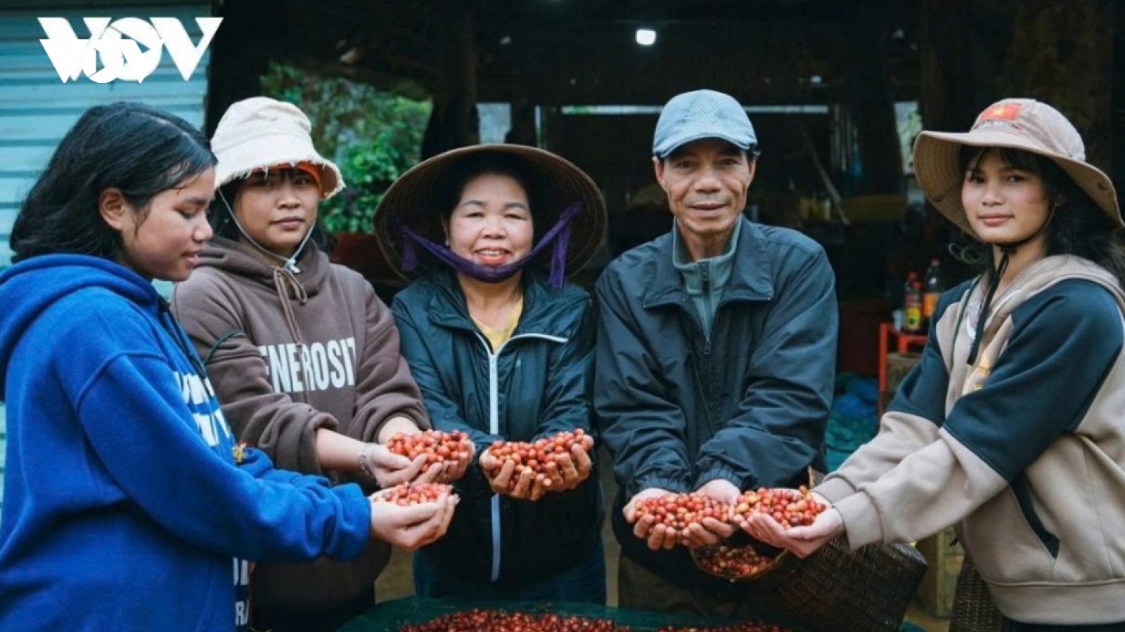 Giá cà phê hôm nay 14/5: Giá cà phê trong nước cao nhất ở mức 88.000 đồng/kg