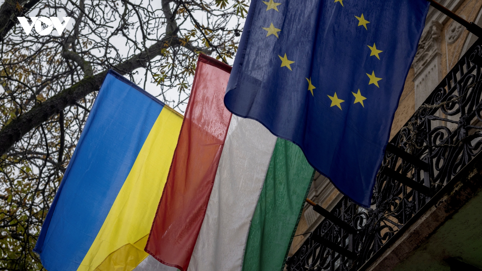 Hungary và Ukraine khởi động đàm phán, mở đường cho các nỗ lực gia nhập EU