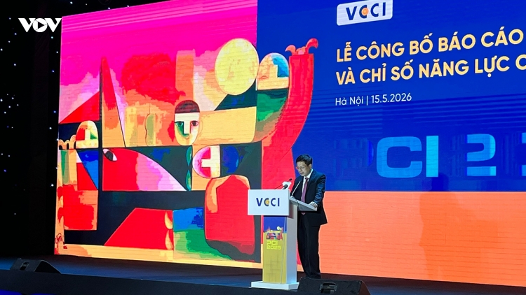 Vietnam launches first-ever index measuring private sector’s health
