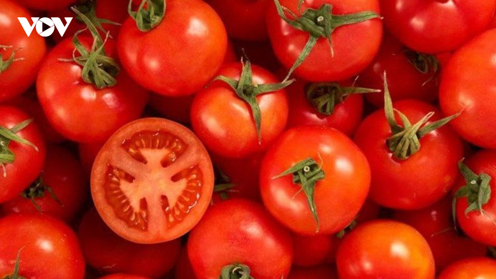 Ăn quá nhiều cà chua có khiến da ngả vàng?