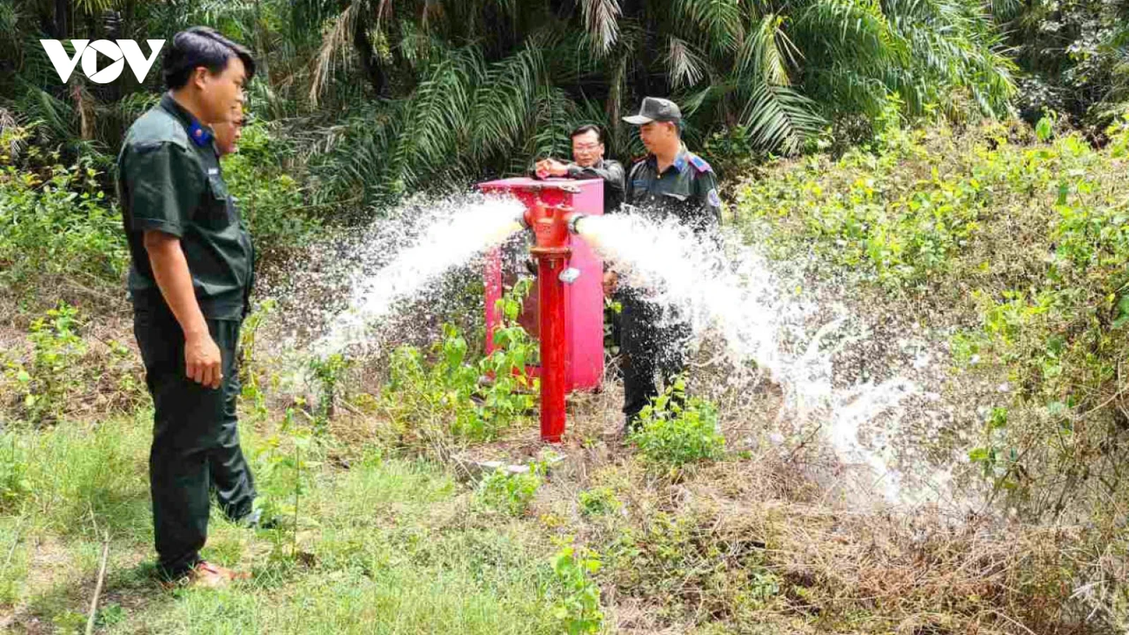 Hơn 50.500ha rừng khô hạn ở Cà Mau có nguy cơ xảy ra cháy