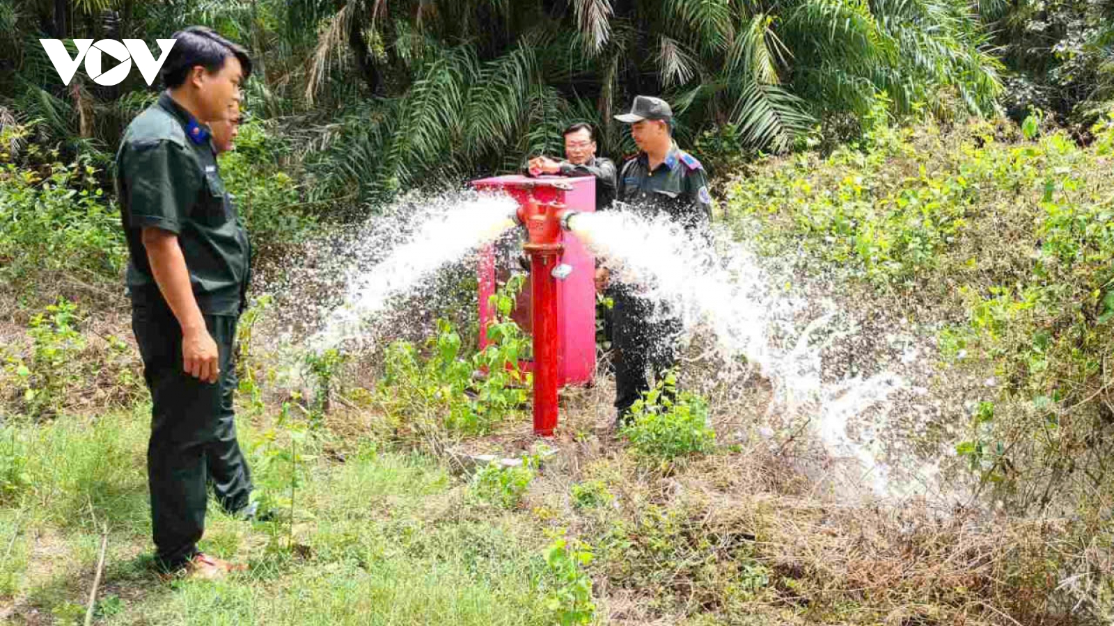 Hơn 50.500ha rừng khô hạn ở Cà Mau có nguy cơ xảy ra cháy
