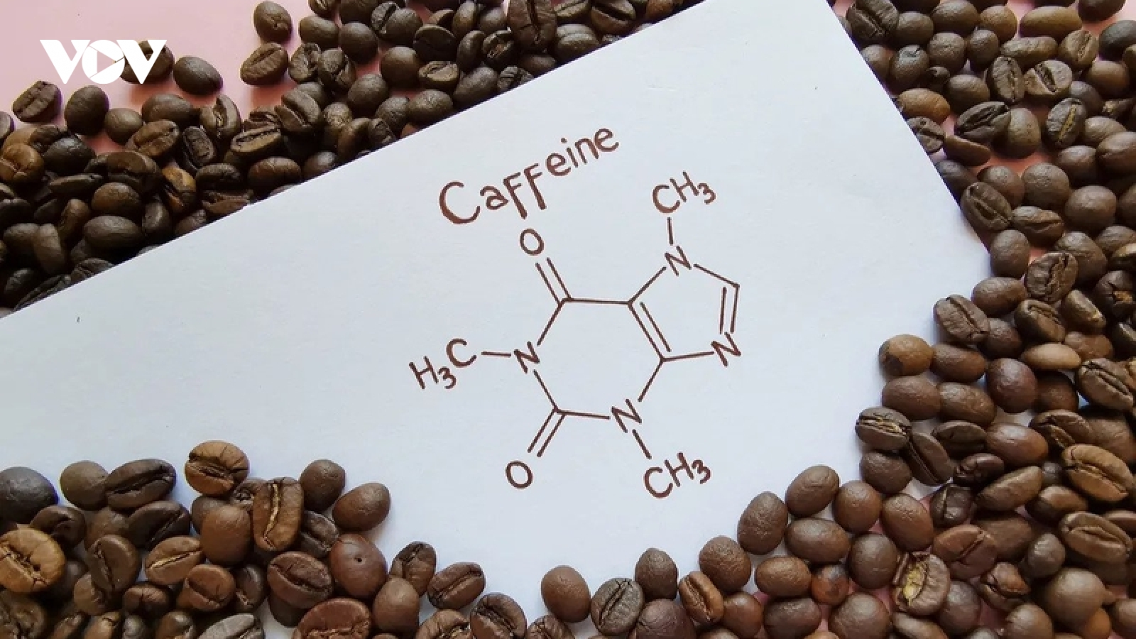 Tại sao chất tạo tỉnh táo caffeine trong cà phê liên quan tới sản xuất ma túy?