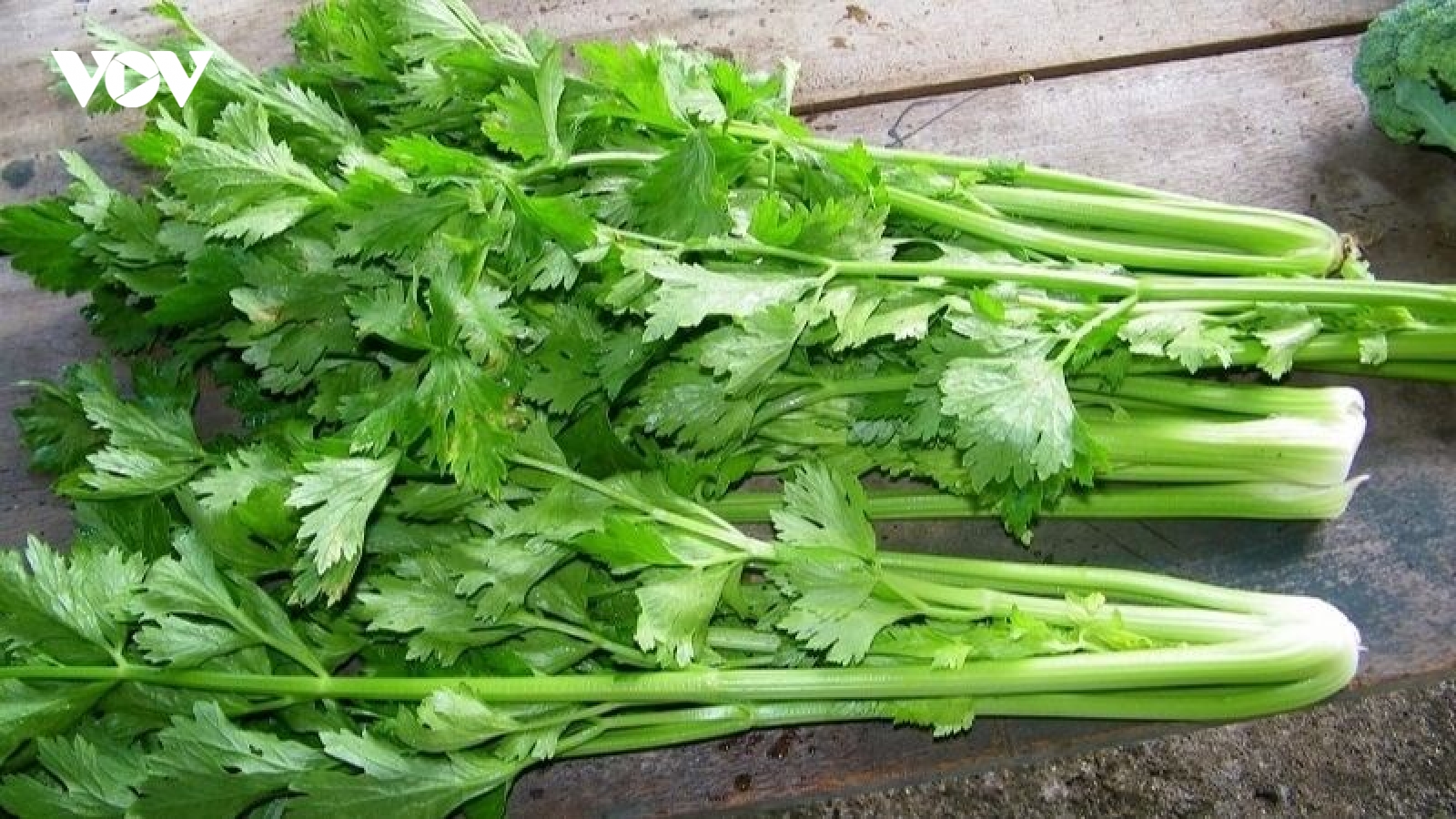 Muốn giải nhiệt, hỗ trợ gan khỏe mạnh, nên bổ sung ngay 4 loại rau này