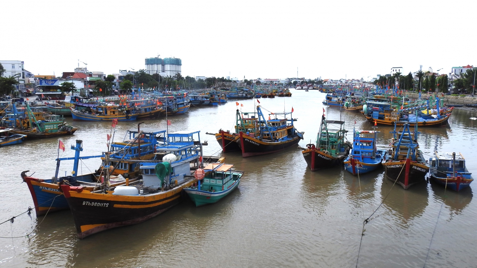 Cửa biển ở Lâm Đồng bị bồi lắng nghiêm trọng