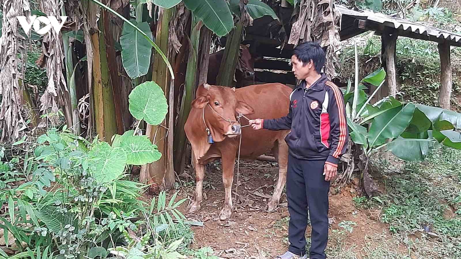 Tạo sinh kế bền vững cho đồng bào vùng cao Thái Nguyên