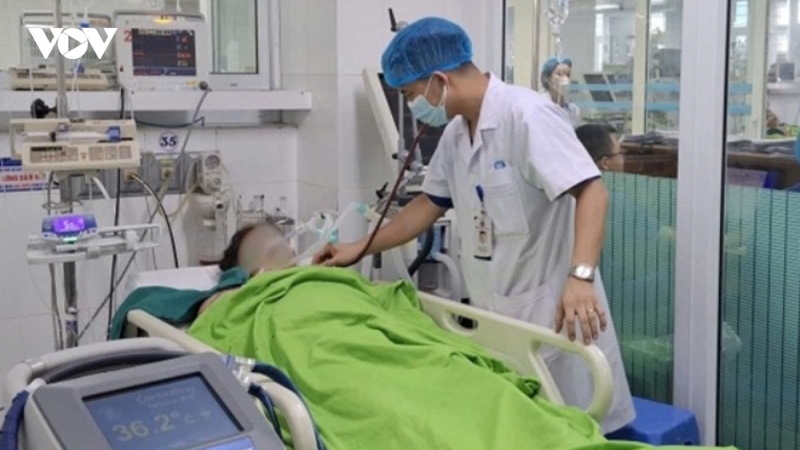 Ngất giữa đồng sau 2 giờ gặt lúa dưới nắng gắt