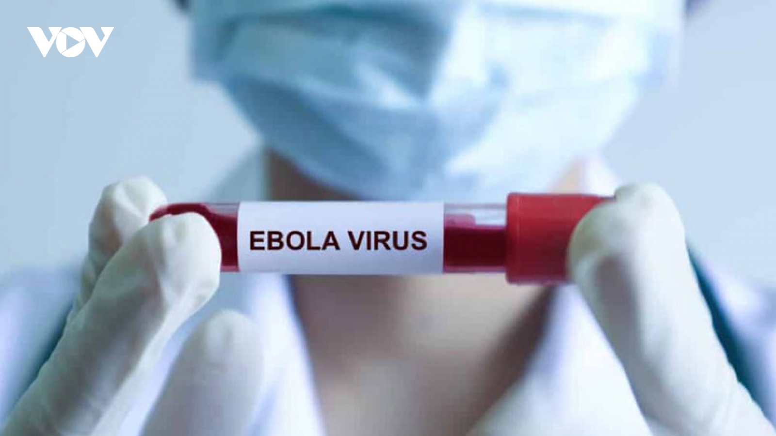 Bệnh Ebola tử vong đến 90%, Bộ Y tế ra chỉ đạo khẩn, yêu cầu cách ly nghiêm ngặt