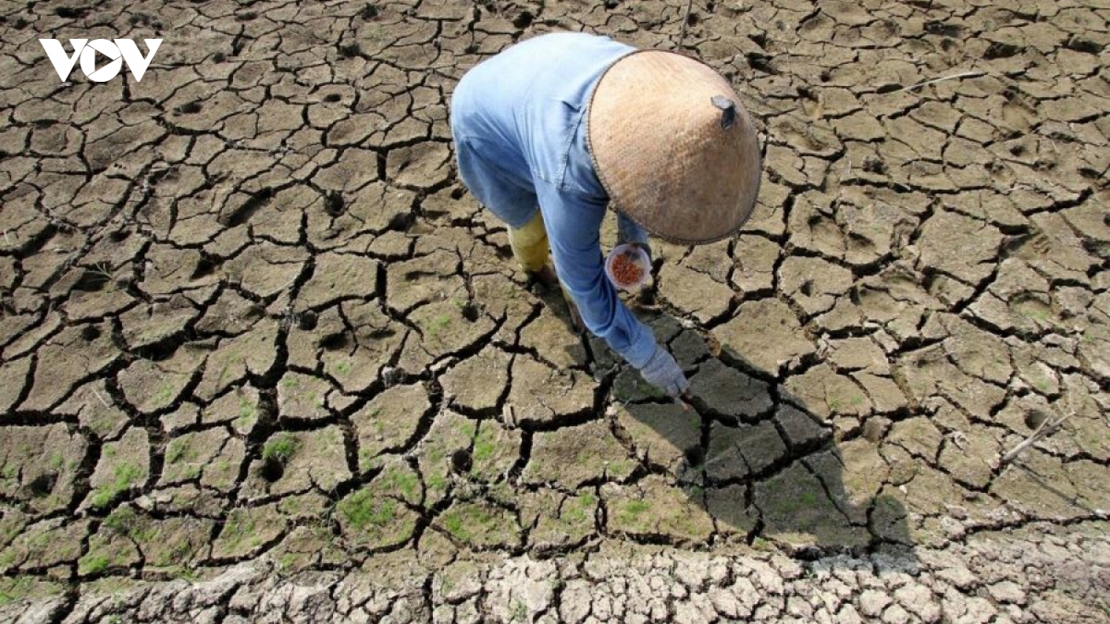 El Nino có thể quay trở lại từ giữa 2026, chủ động ứng phó hạn hán, xâm nhập mặn