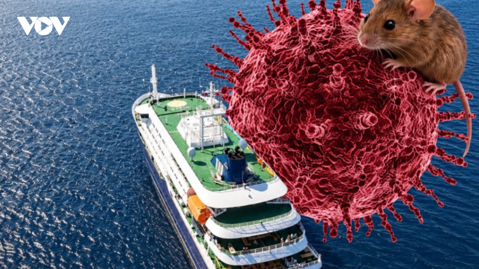 Virus Hanta dễ nhầm với cúm thông thường nhưng có thể chuyển nặng rất nhanh