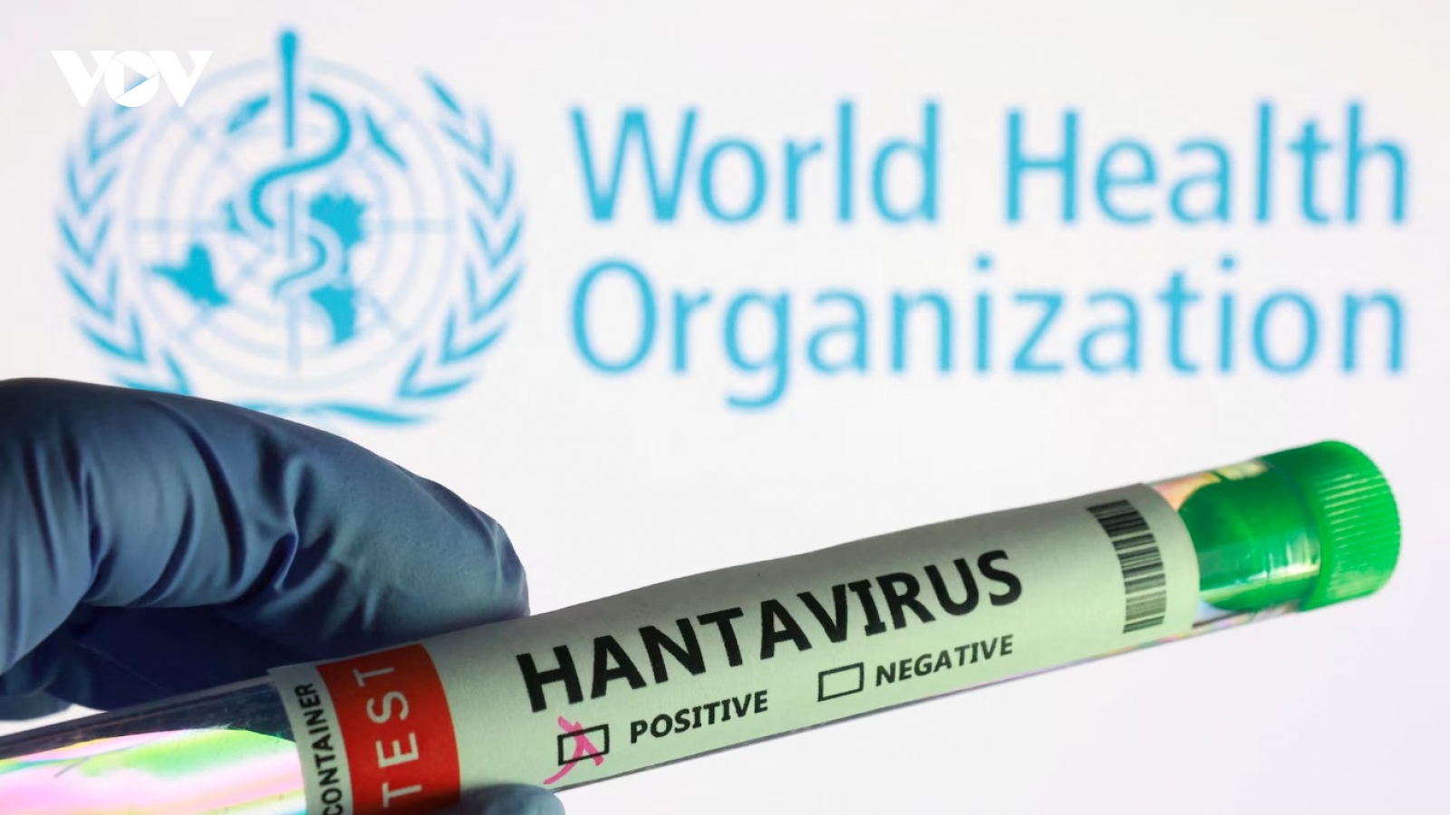 Các nước tăng cường cách ly, giới khoa học tìm lời giải vaccine cho virus Hanta