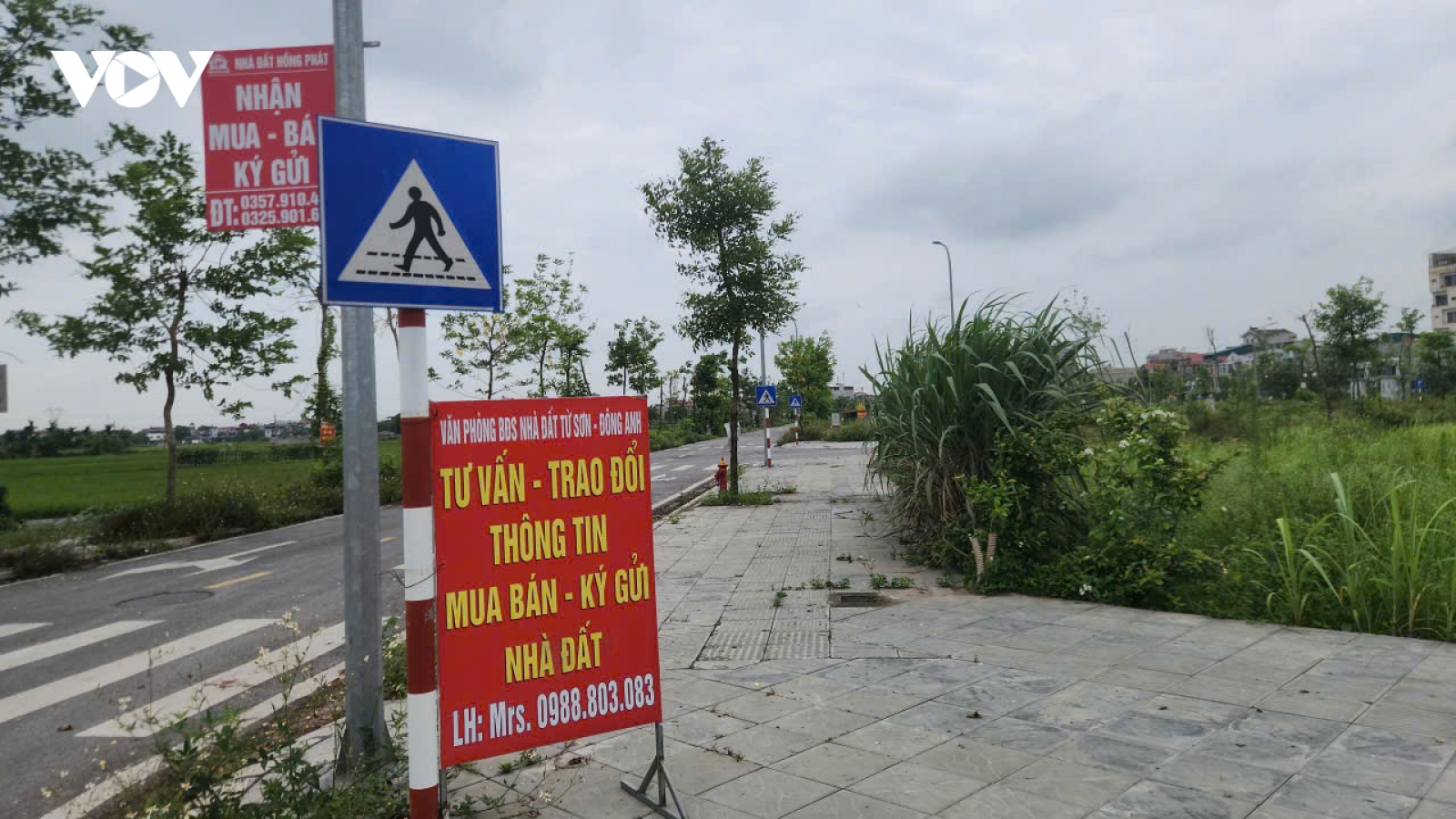Giá đất tái định cư Thư Lâm (Hà Nội) tăng “nóng”, chính quyền cảnh báo giao dịch