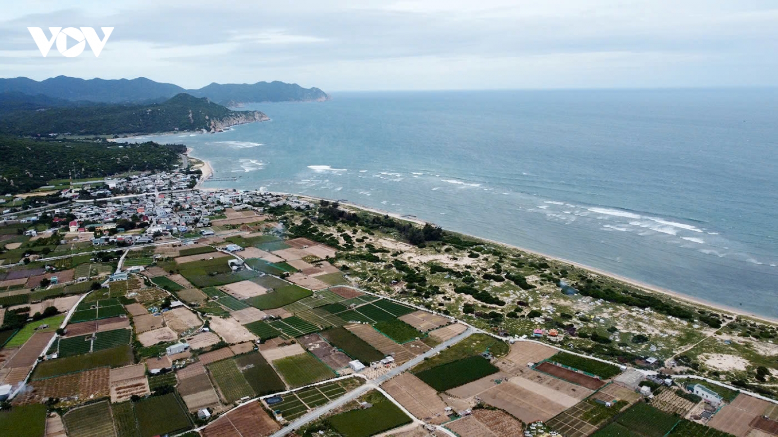 Khánh Hoà đưa cán bộ xuống xã để tăng tốc giải phóng mặt bằng dự án điện hạt nhân