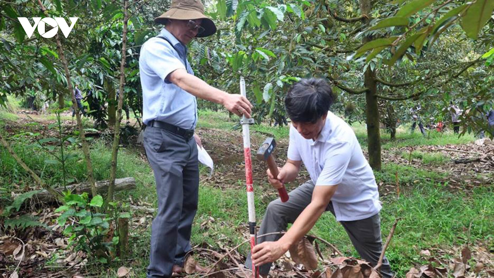 Cưỡng chế mặt bằng, "giải cứu" hồ chứa nước 20 tỷ ở Đồng Nai sau 4 năm đắp chiếu