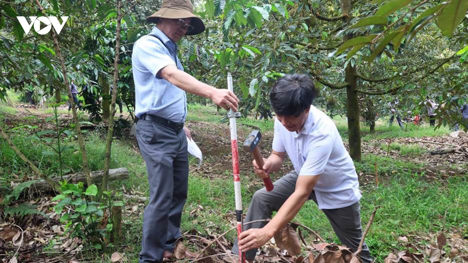 Cưỡng chế mặt bằng, "giải cứu" hồ chứa nước 20 tỷ ở Đồng Nai sau 4 năm đắp chiếu