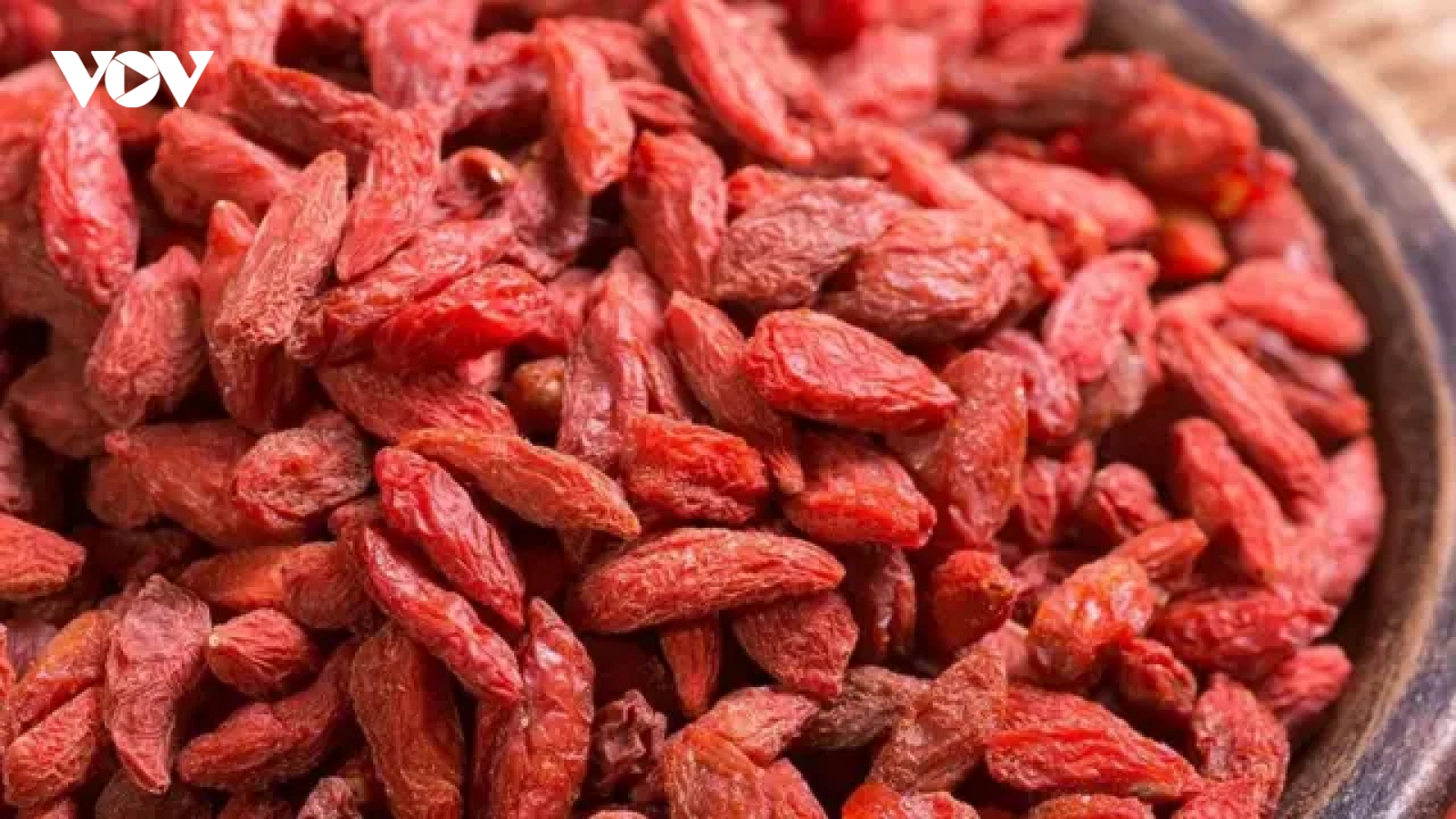 Vị thuốc trường thọ được ví như “kim cương đỏ” nhưng ít người biết