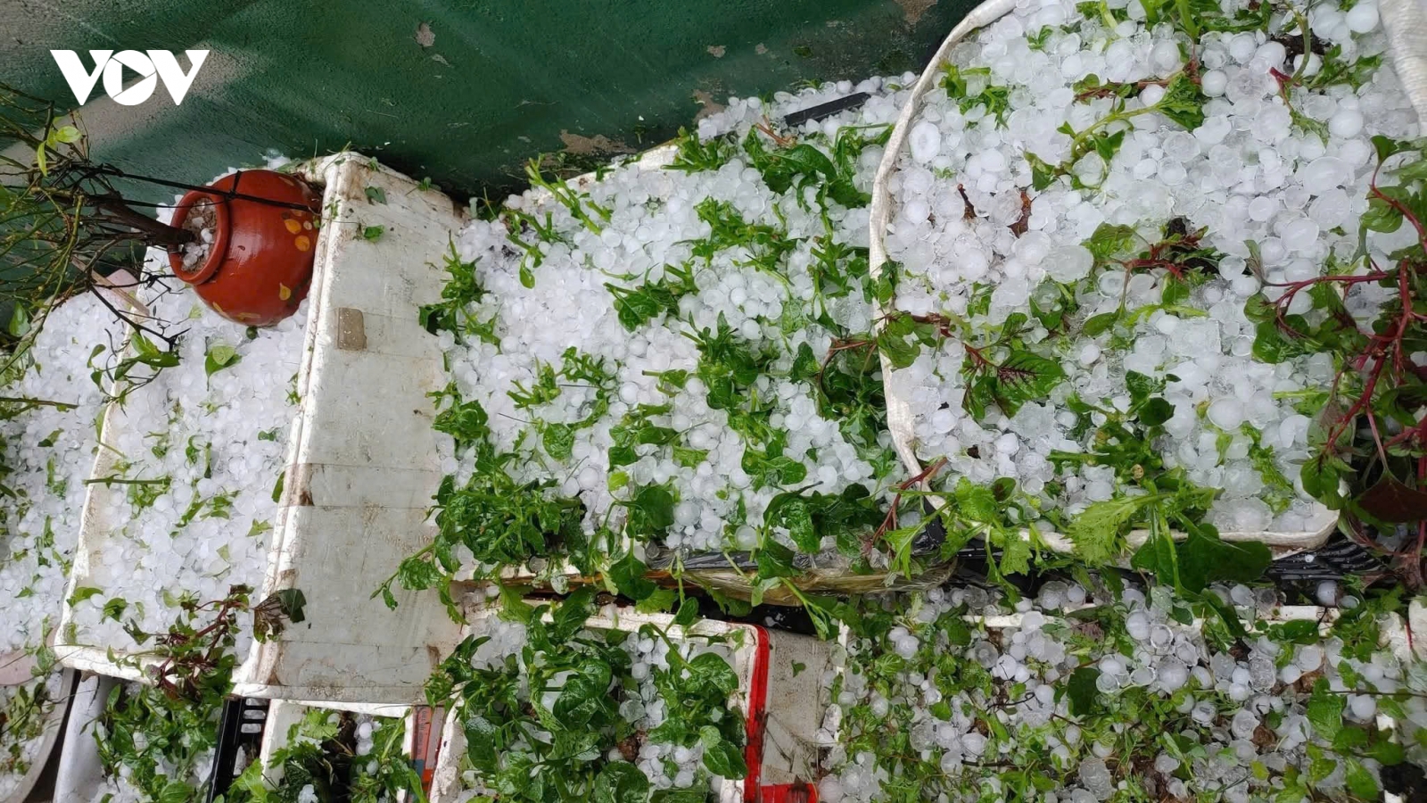 Mưa đá phủ trắng núi đồi kèm giông lốc tại phía Nam tỉnh Điện Biên