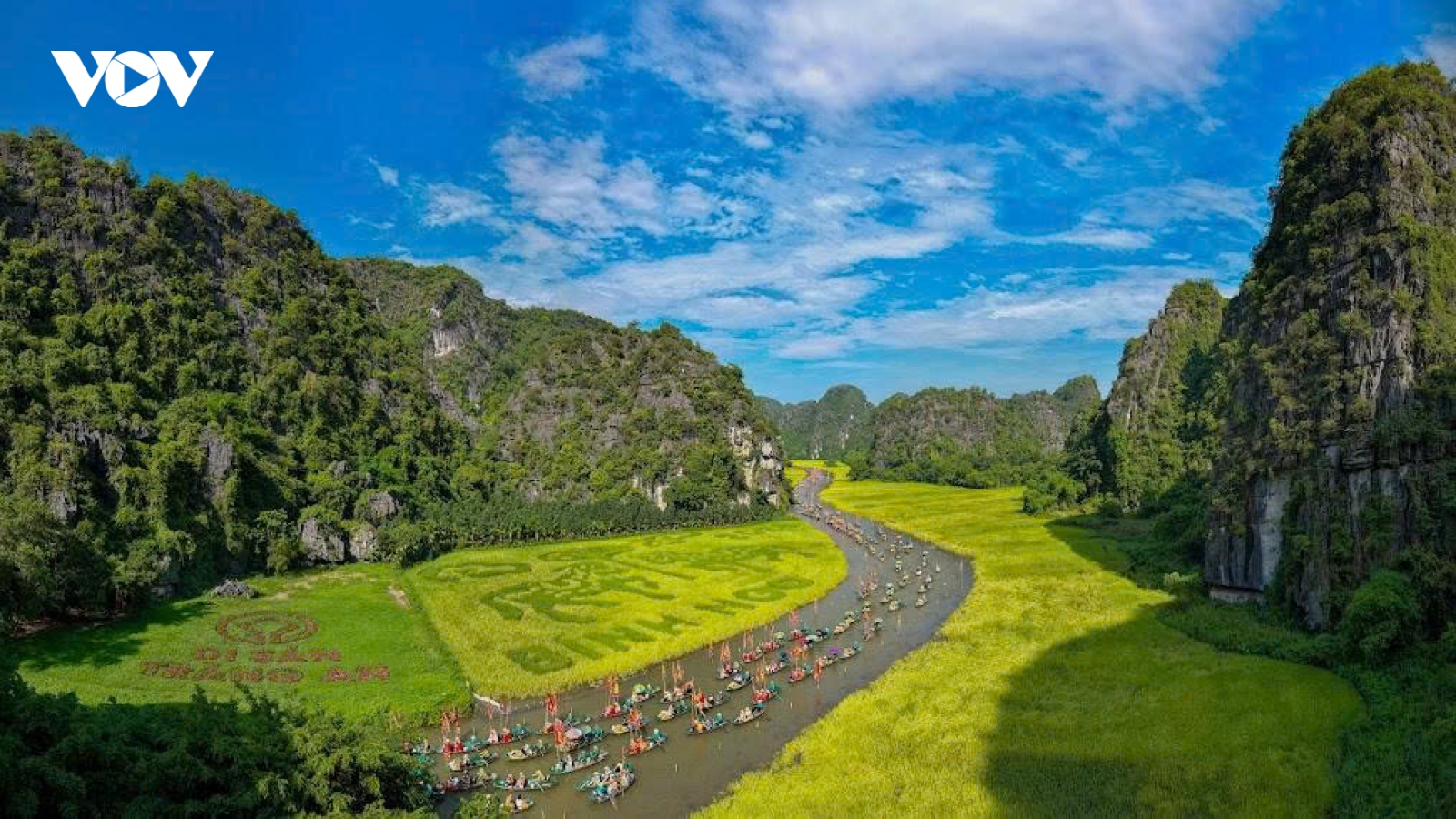Ninh Bình đưa “bản đồ sản vật” Việt Nam lên dòng Ngô Đồng