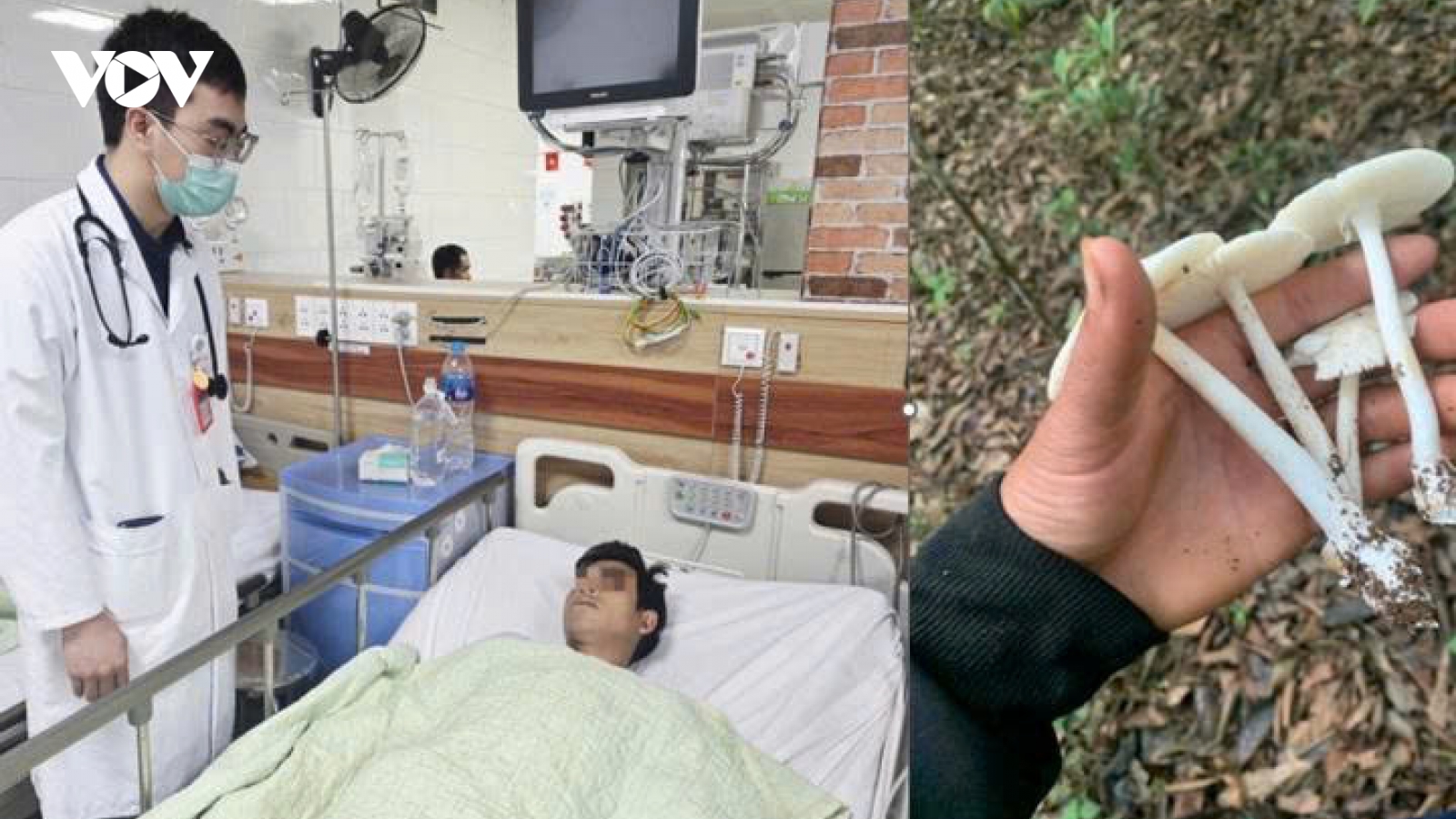 Vụ ngộ độc nấm ở Sơn La, 1 người được xuất viện