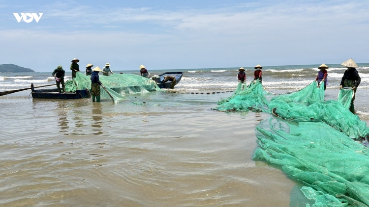 Cảnh nhộn nhịp kéo lưới của ngư dân Thanh Hóa: Tôm cá vừa cập bờ đã "cháy hàng"