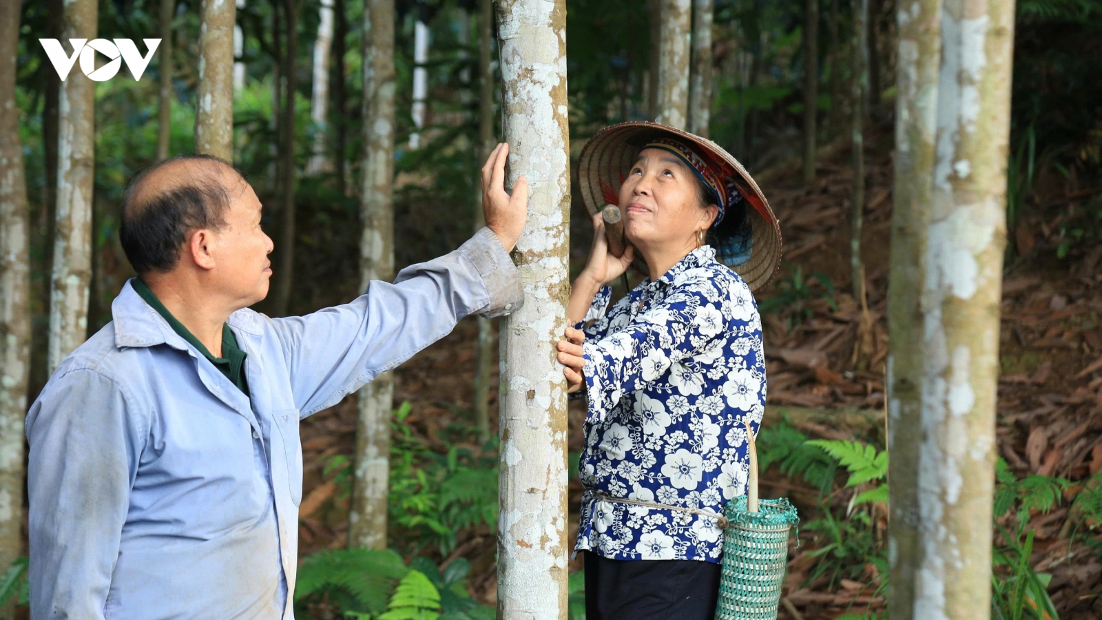 Đồng bào vùng cao Lào Cai làm theo lời Bác, xây dựng đời sống ấm no, hạnh phúc