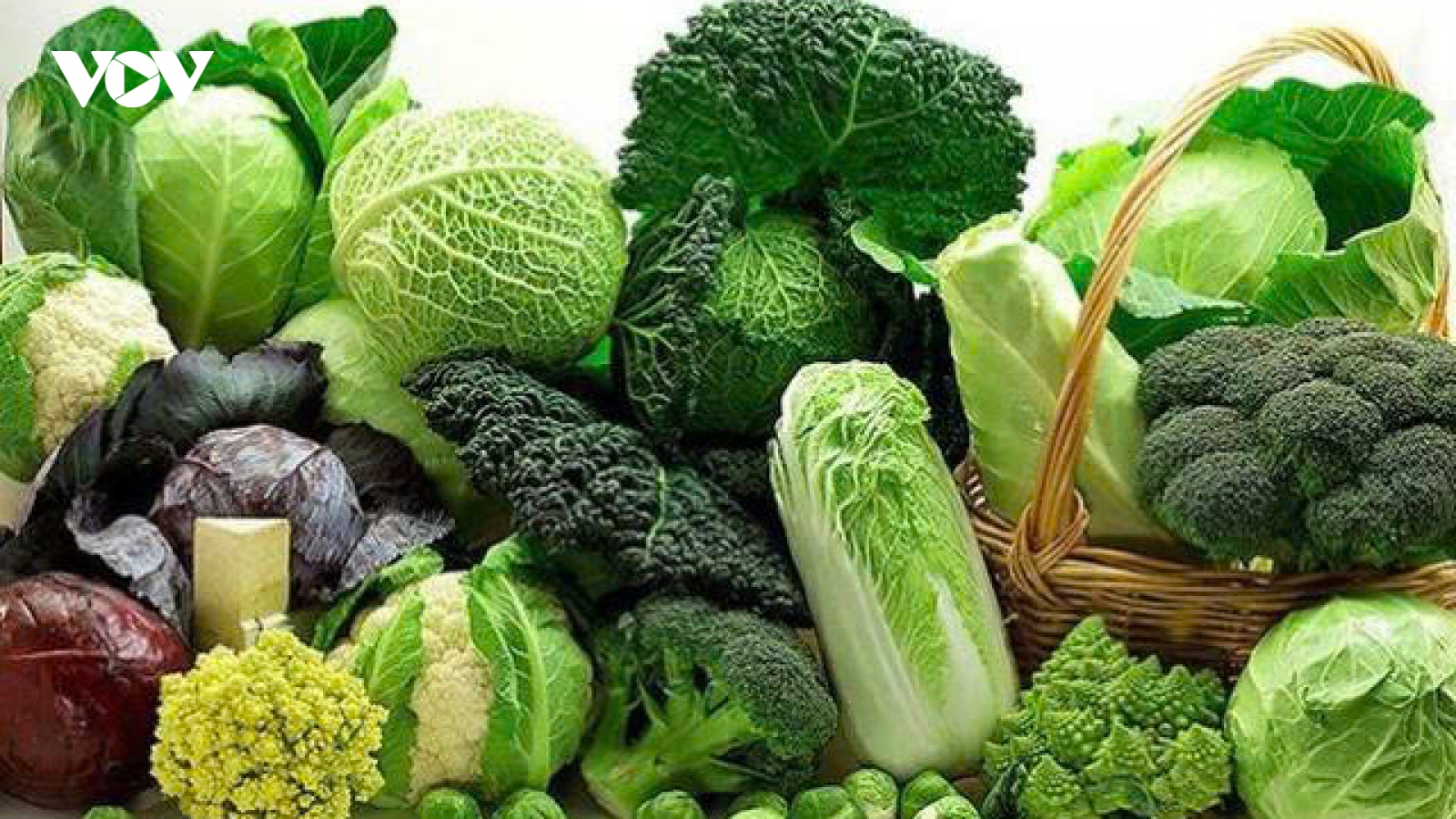 Nắng nóng đỉnh điểm: 7 cách đơn giản giúp cơ thể luôn đủ nước