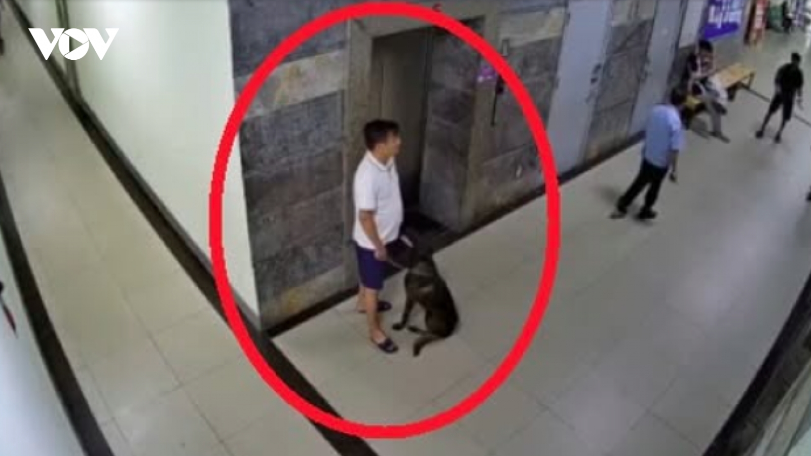 Nhắc cư dân đeo rọ mõm cho chó, thành viên BQT chung cư Đại Thanh bị hành hung?