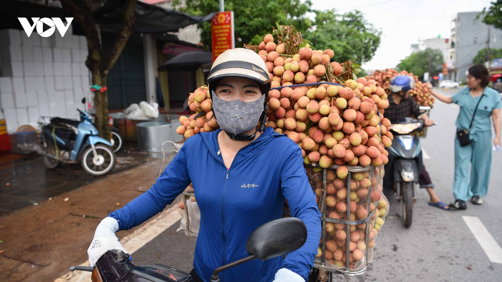 Vụ vải thiều sớm giảm sản lượng nhưng nông dân Bắc Ninh phấn khởi vì giá cao