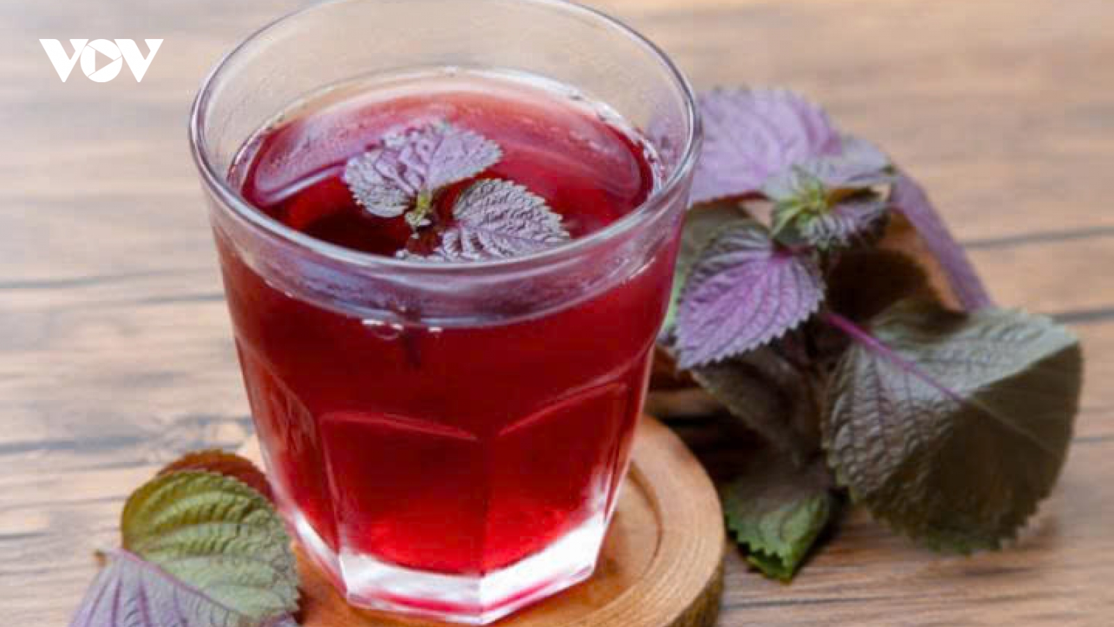 Cách uống nước tía tô giúp thanh nhiệt cơ thể mùa nắng nóng