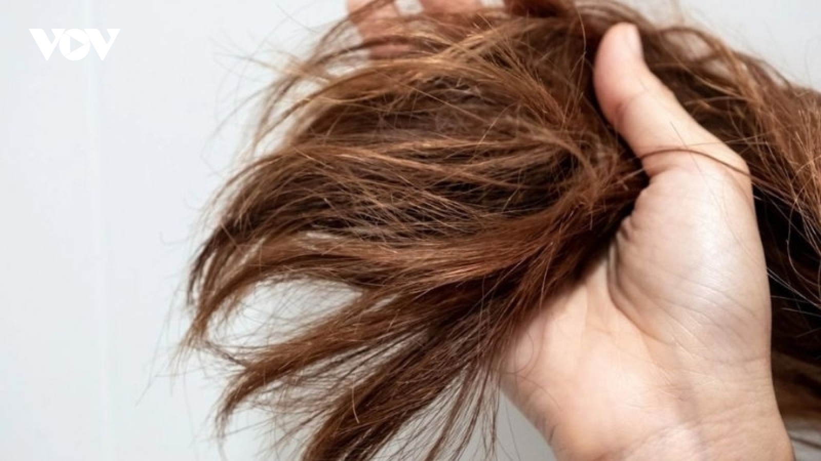 Cách cải thiện tóc rễ tre giúp mái tóc mềm mượt hơn