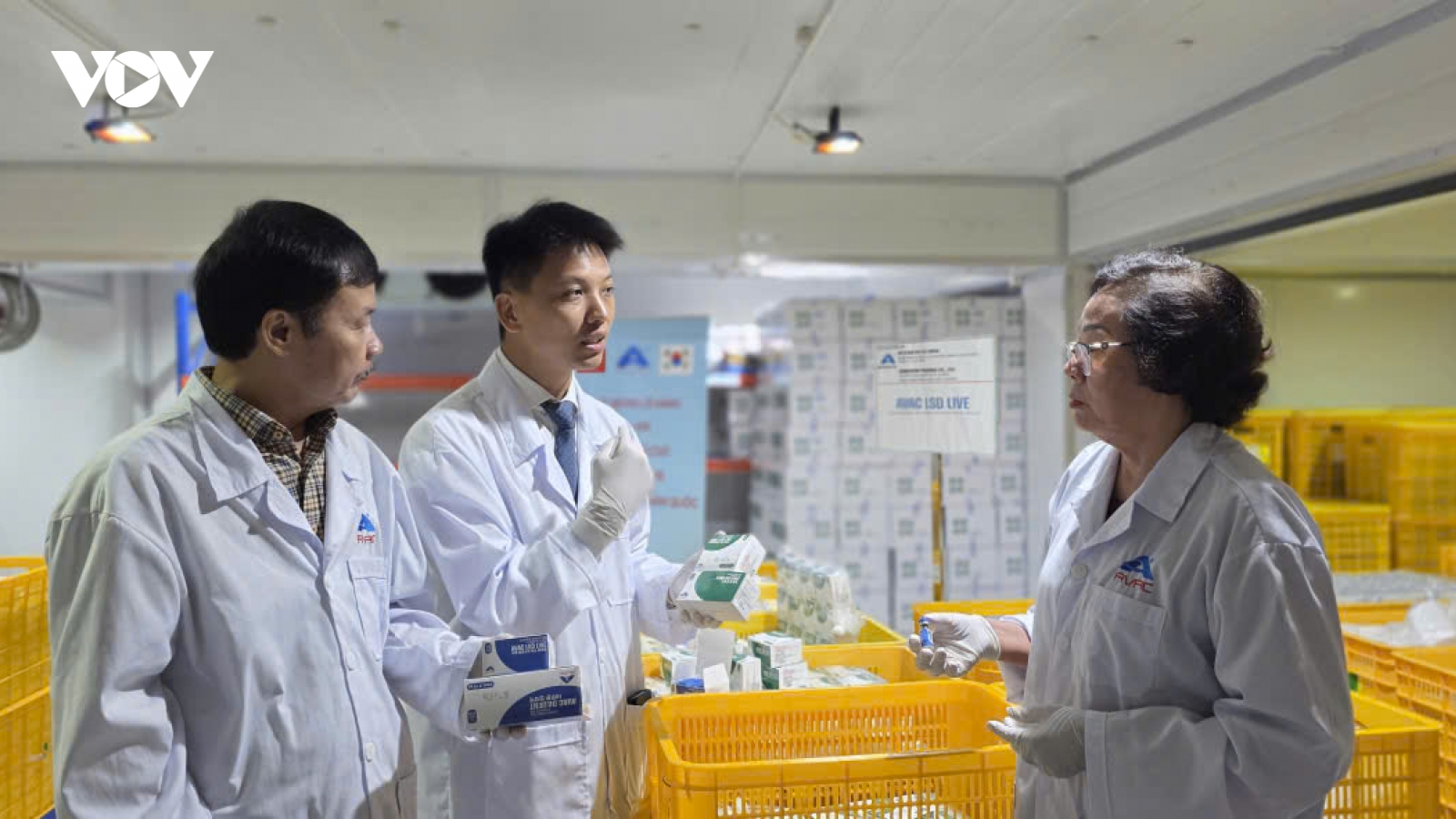 Việt Nam xuất khẩu 1,1 triệu liều vaccine viêm da nổi cục sang Hàn Quốc