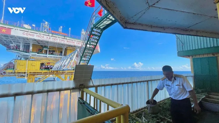 Những “lá phổi xanh” kiên cường nơi đầu sóng Trường Sa