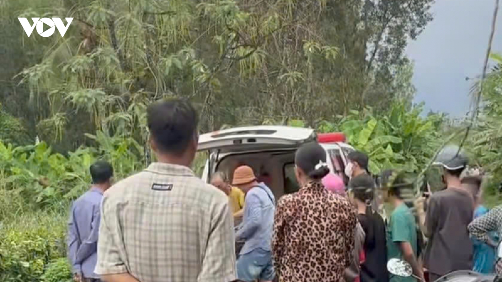Người đàn ông bị sét đánh tử vong khi đang cưa cây thuê