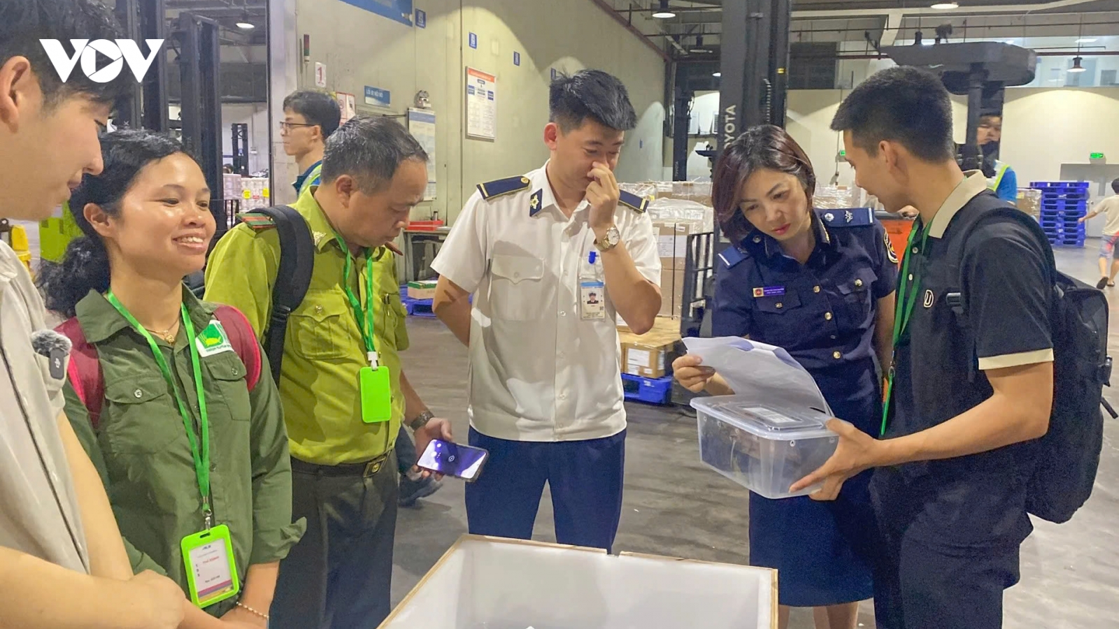 28 cá thể rùa quý hiếm “hồi hương” từ Hàn Quốc về Vườn quốc gia Cúc Phương