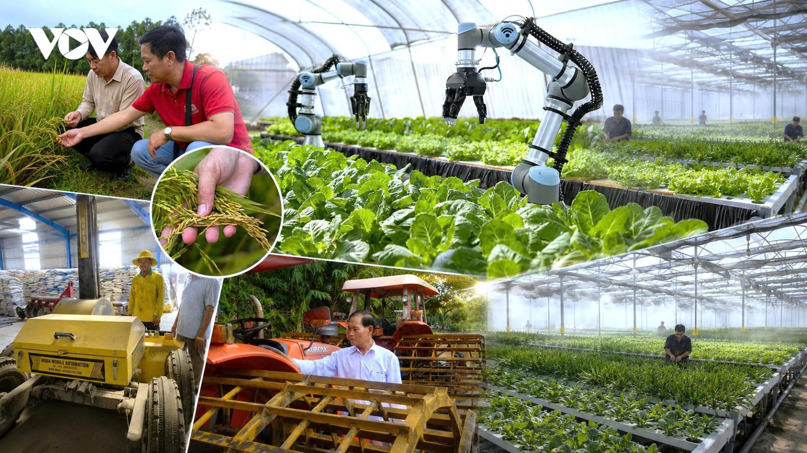 Chuyển đổi số nông nghiệp: Bắt đầu từ người nông dân gỡ nút thắt từ thị trường