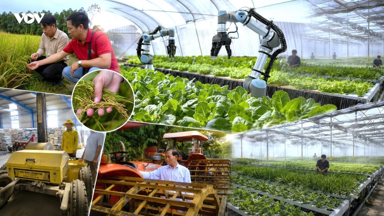 Chuyển đổi số nông nghiệp: Bắt đầu từ người nông dân gỡ nút thắt từ thị trường
